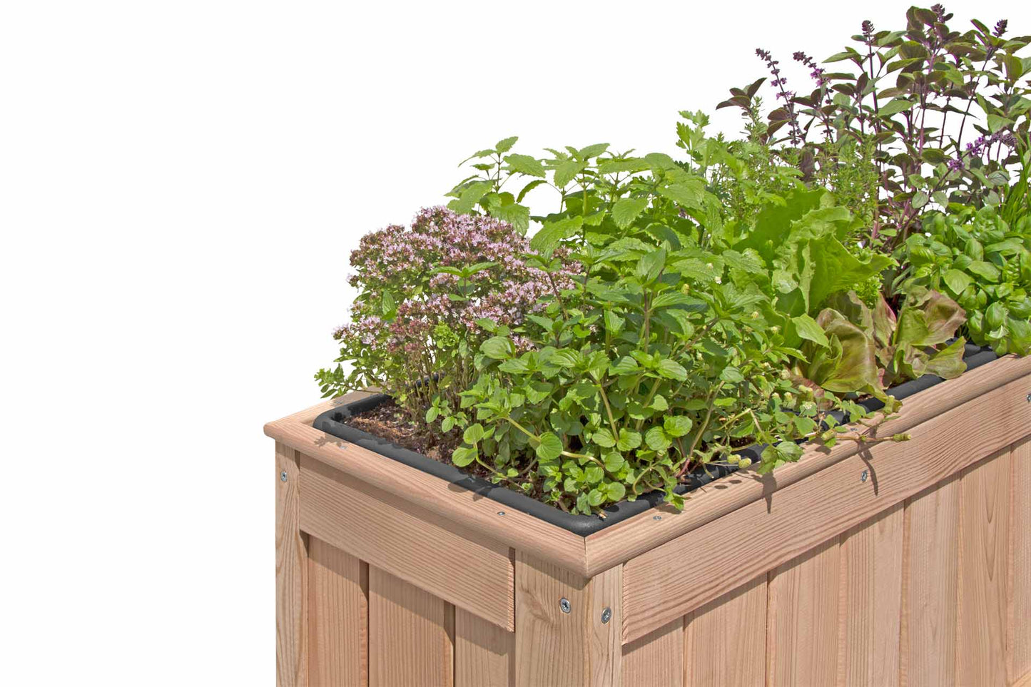 REMO Balkonhochbeet aus Lärche 100 x 37 x 80 cm