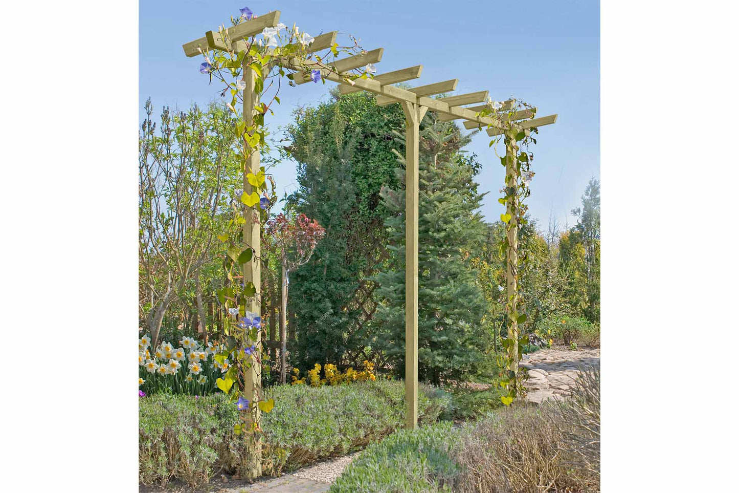 Pergola 7x7x450cm